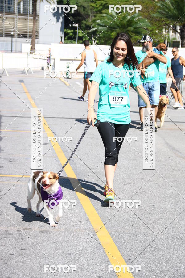 Buy your photos of the event2 Pet Run Shopping Eldorado  on Fotop