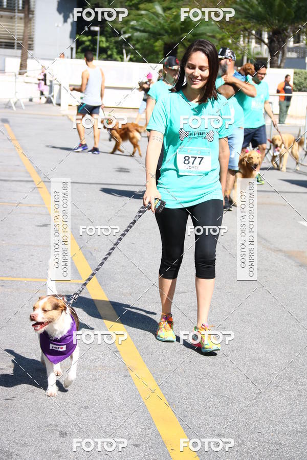 Buy your photos of the event2 Pet Run Shopping Eldorado  on Fotop