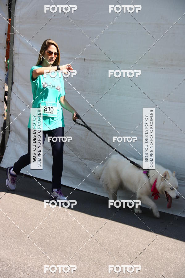 Buy your photos of the event2 Pet Run Shopping Eldorado  on Fotop