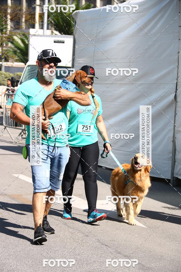 Buy your photos of the event2 Pet Run Shopping Eldorado  on Fotop