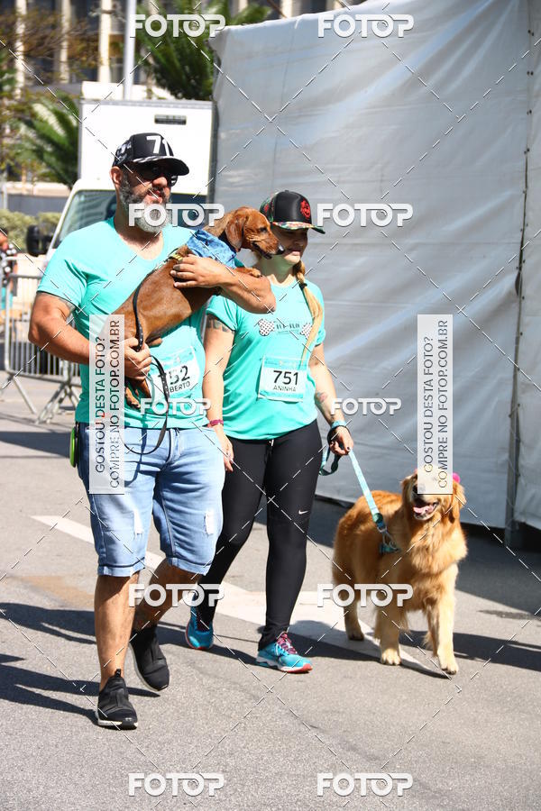 Buy your photos of the event2 Pet Run Shopping Eldorado  on Fotop