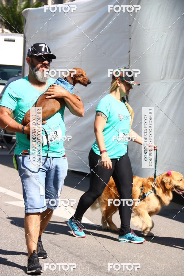 Buy your photos of the event2 Pet Run Shopping Eldorado  on Fotop