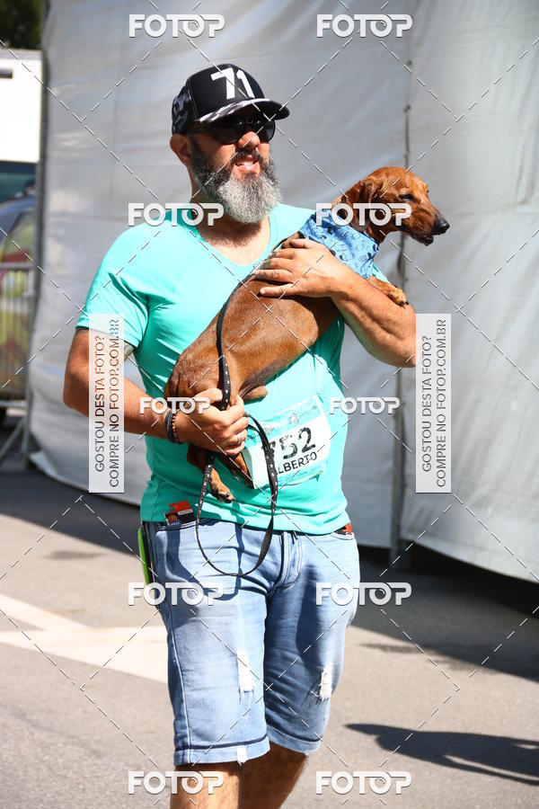 Buy your photos of the event2 Pet Run Shopping Eldorado  on Fotop
