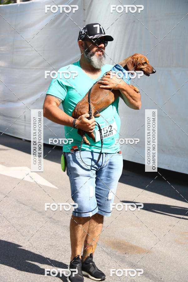 Buy your photos of the event2 Pet Run Shopping Eldorado  on Fotop