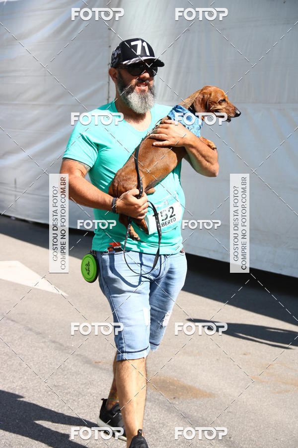 Buy your photos of the event2 Pet Run Shopping Eldorado  on Fotop