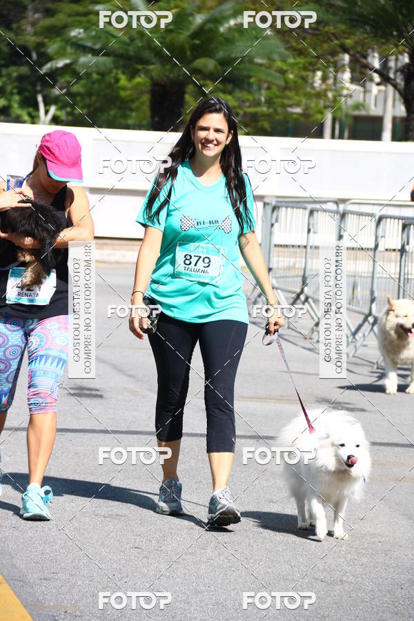 Buy your photos of the event2 Pet Run Shopping Eldorado  on Fotop