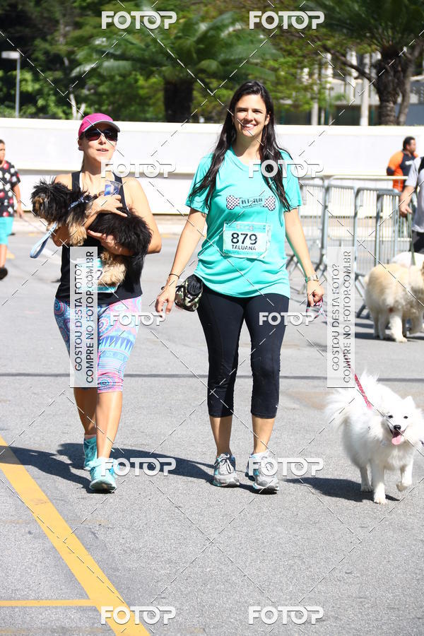Buy your photos of the event2 Pet Run Shopping Eldorado  on Fotop