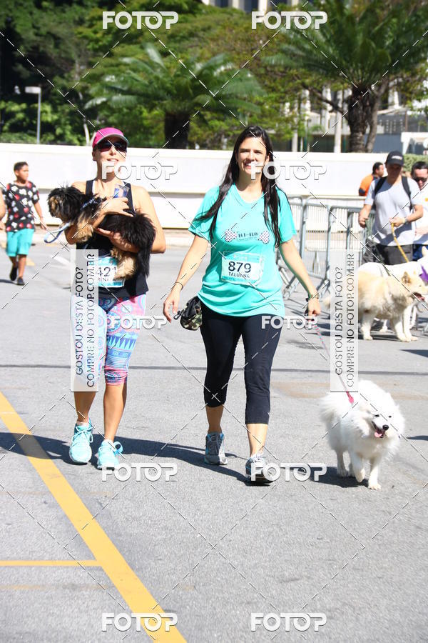 Buy your photos of the event2 Pet Run Shopping Eldorado  on Fotop