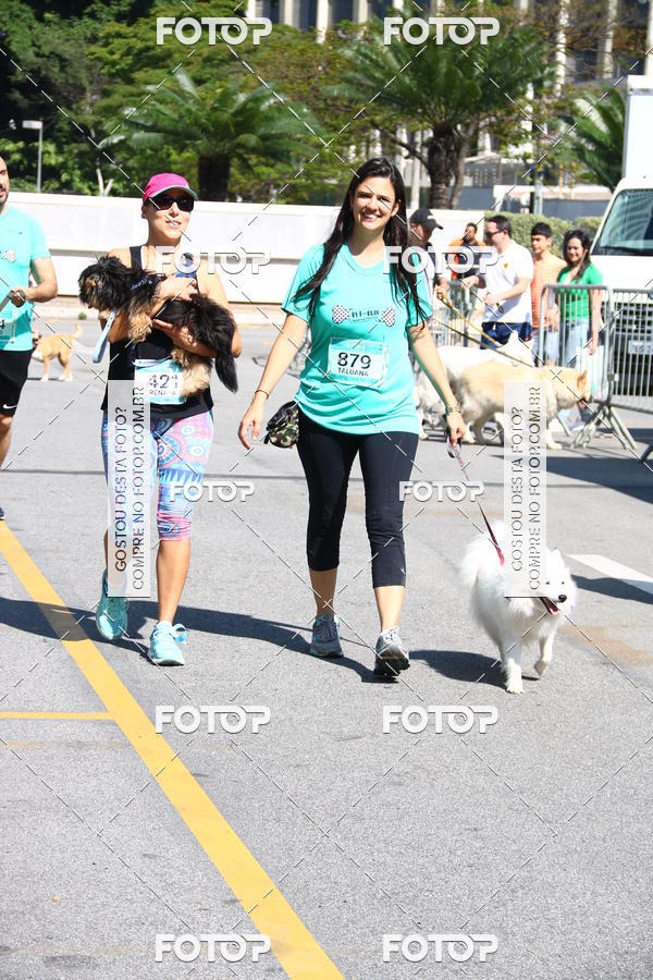 Buy your photos of the event2 Pet Run Shopping Eldorado  on Fotop