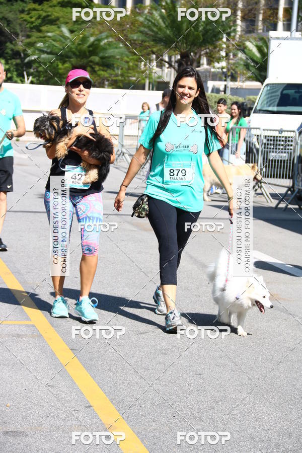 Buy your photos of the event2 Pet Run Shopping Eldorado  on Fotop