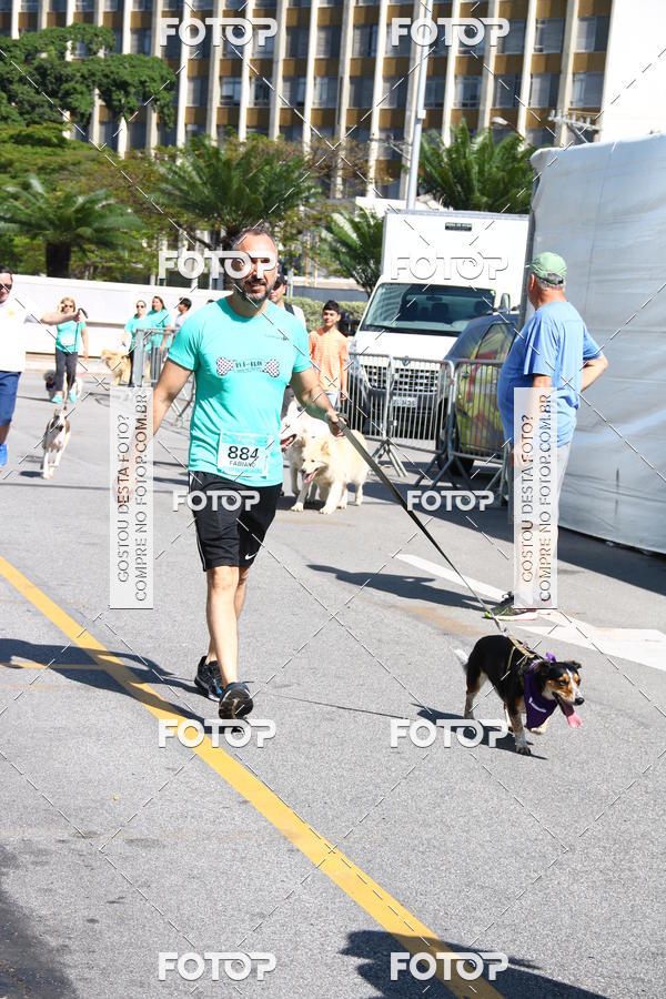 Buy your photos of the event2 Pet Run Shopping Eldorado  on Fotop