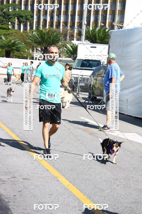 Buy your photos of the event2 Pet Run Shopping Eldorado  on Fotop