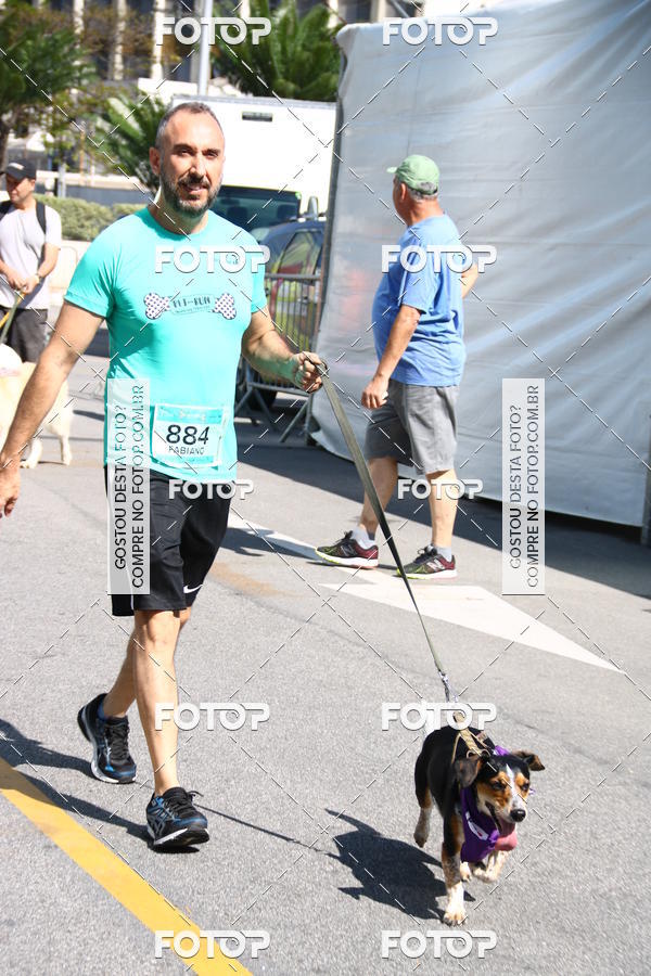 Buy your photos of the event2 Pet Run Shopping Eldorado  on Fotop