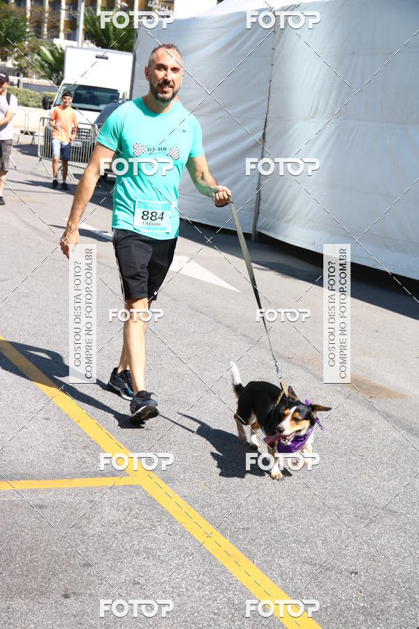 Buy your photos of the event2 Pet Run Shopping Eldorado  on Fotop