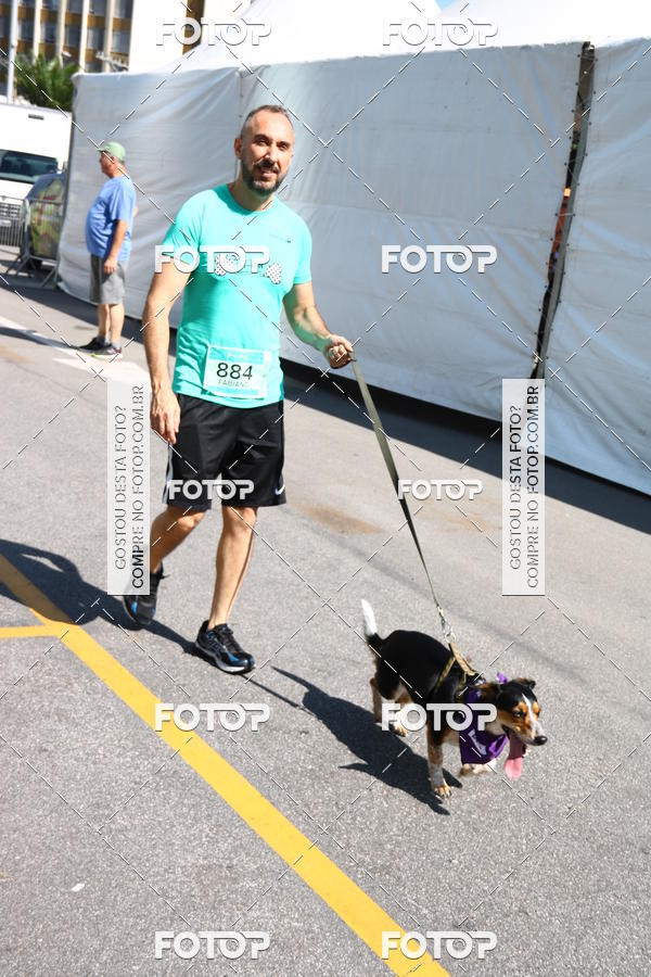 Buy your photos of the event2 Pet Run Shopping Eldorado  on Fotop