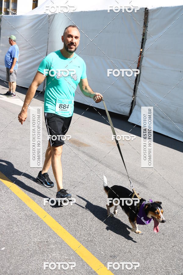 Buy your photos of the event2 Pet Run Shopping Eldorado  on Fotop