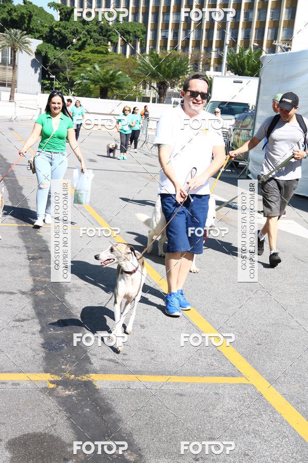 Buy your photos of the event2 Pet Run Shopping Eldorado  on Fotop