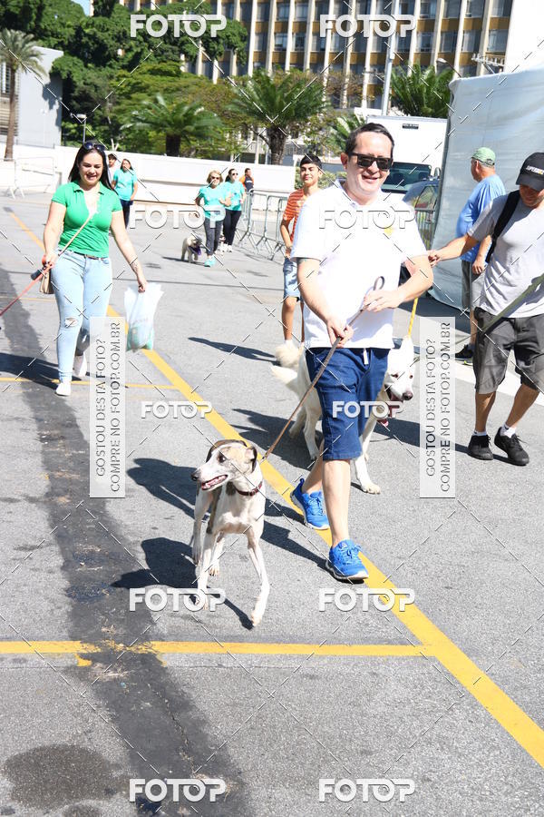 Buy your photos of the event2 Pet Run Shopping Eldorado  on Fotop