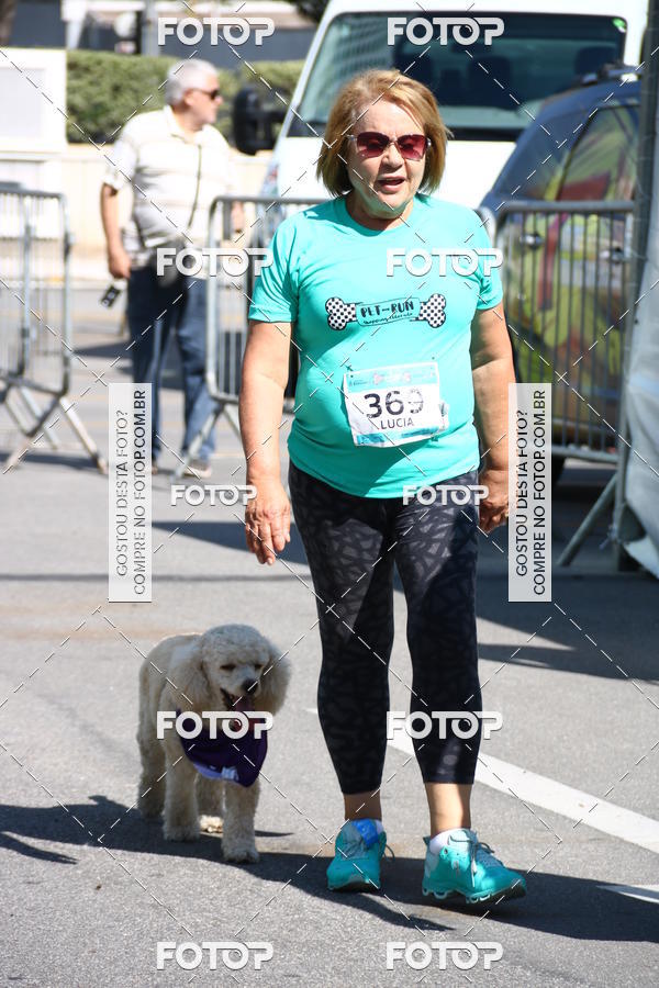 Buy your photos of the event2 Pet Run Shopping Eldorado  on Fotop