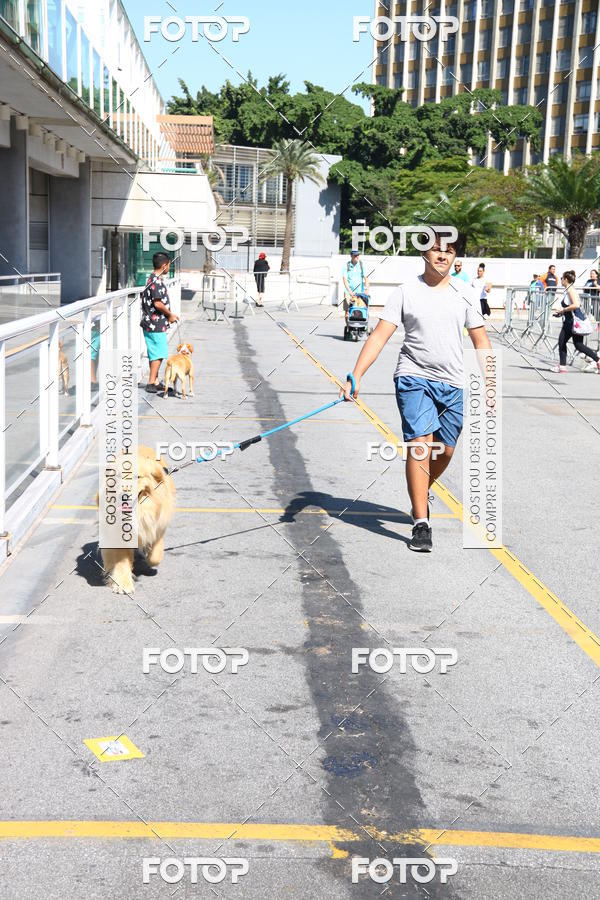 Buy your photos of the event2 Pet Run Shopping Eldorado  on Fotop