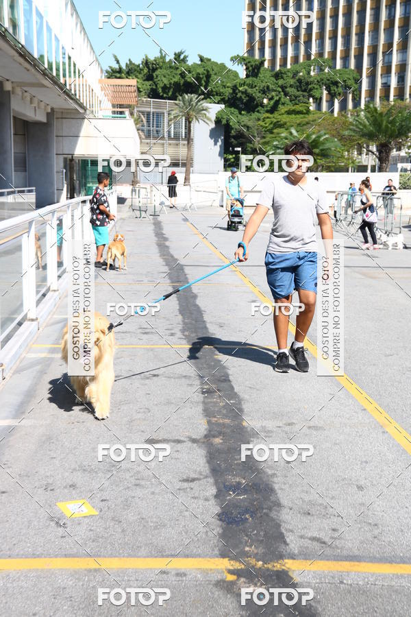 Buy your photos of the event2 Pet Run Shopping Eldorado  on Fotop