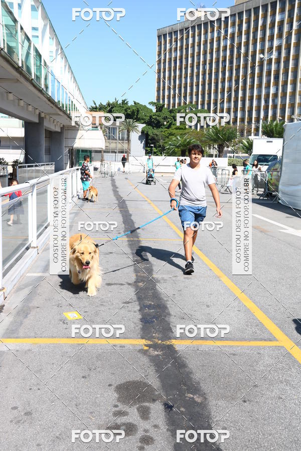 Buy your photos of the event2 Pet Run Shopping Eldorado  on Fotop