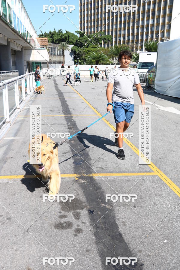 Buy your photos of the event2 Pet Run Shopping Eldorado  on Fotop