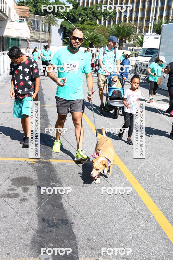 Buy your photos of the event2 Pet Run Shopping Eldorado  on Fotop