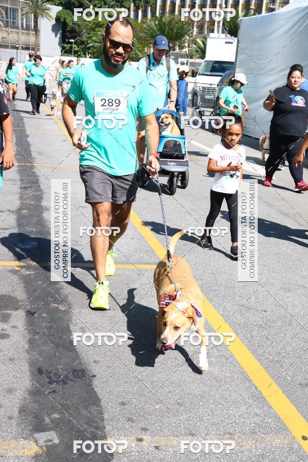 Buy your photos of the event2 Pet Run Shopping Eldorado  on Fotop