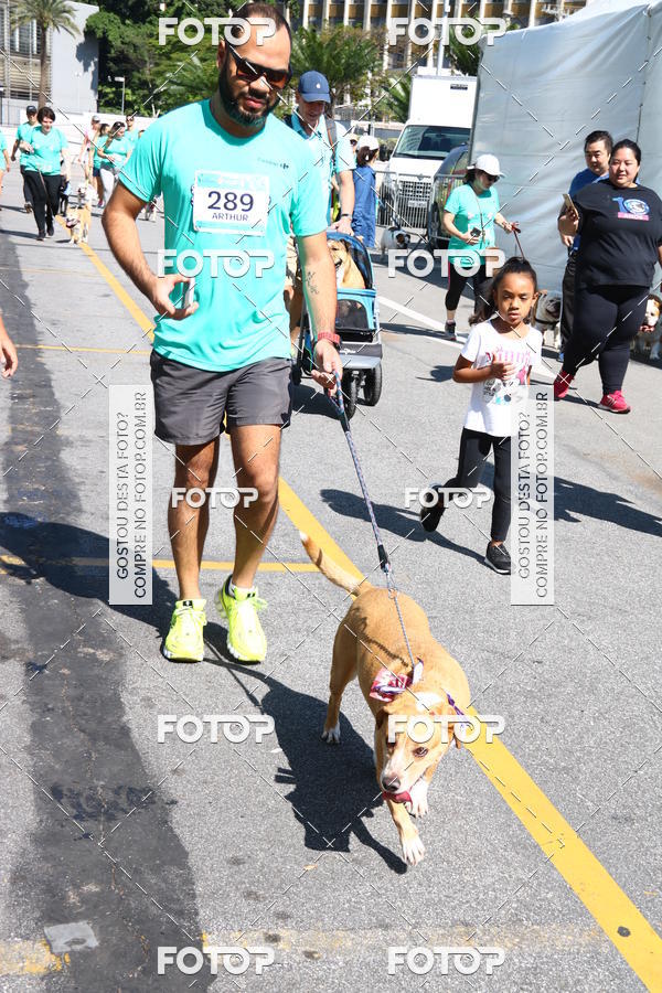 Buy your photos of the event2 Pet Run Shopping Eldorado  on Fotop