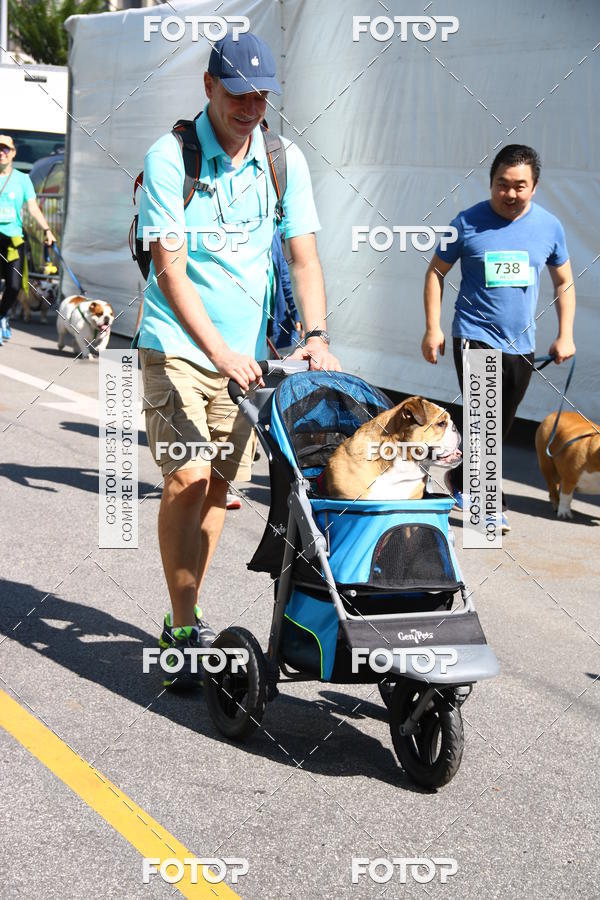 Buy your photos of the event2 Pet Run Shopping Eldorado  on Fotop