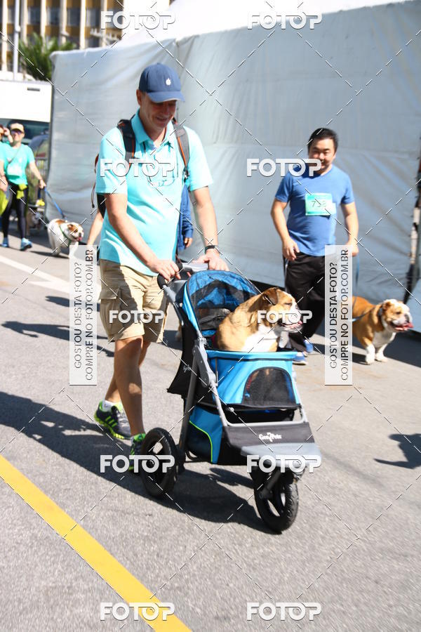 Buy your photos of the event2 Pet Run Shopping Eldorado  on Fotop