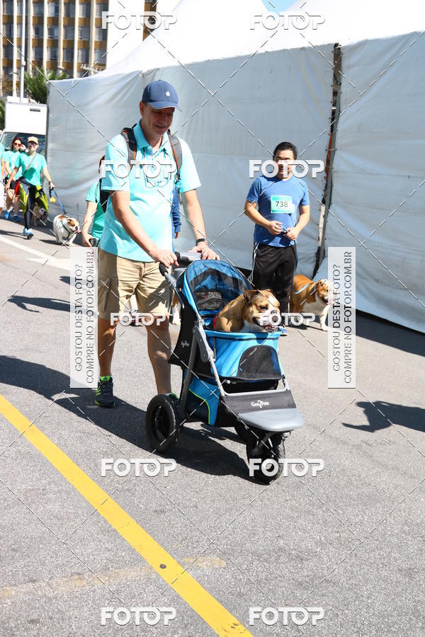 Buy your photos of the event2 Pet Run Shopping Eldorado  on Fotop