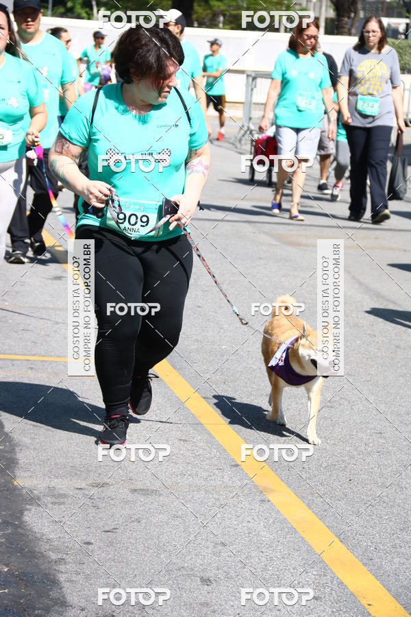 Buy your photos of the event2 Pet Run Shopping Eldorado  on Fotop
