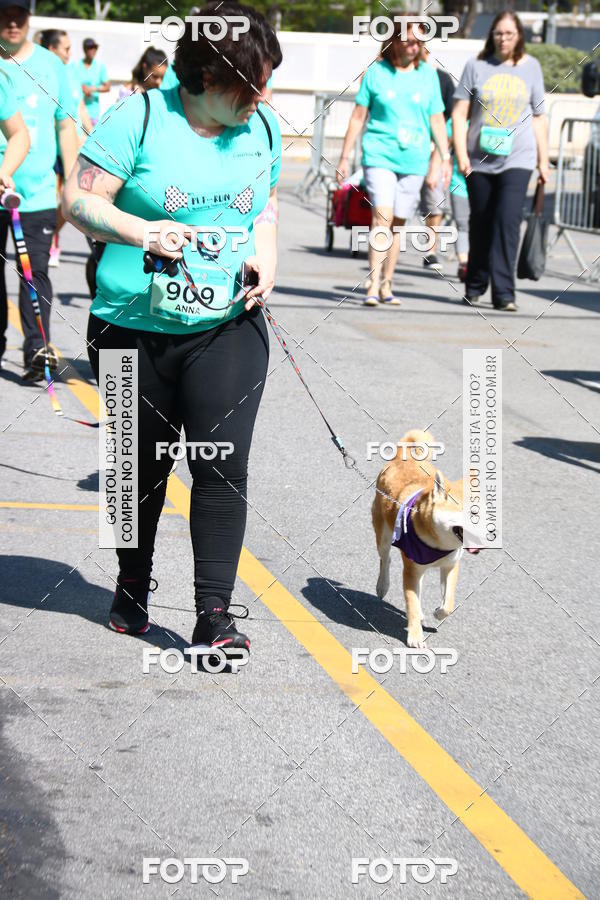 Buy your photos of the event2 Pet Run Shopping Eldorado  on Fotop