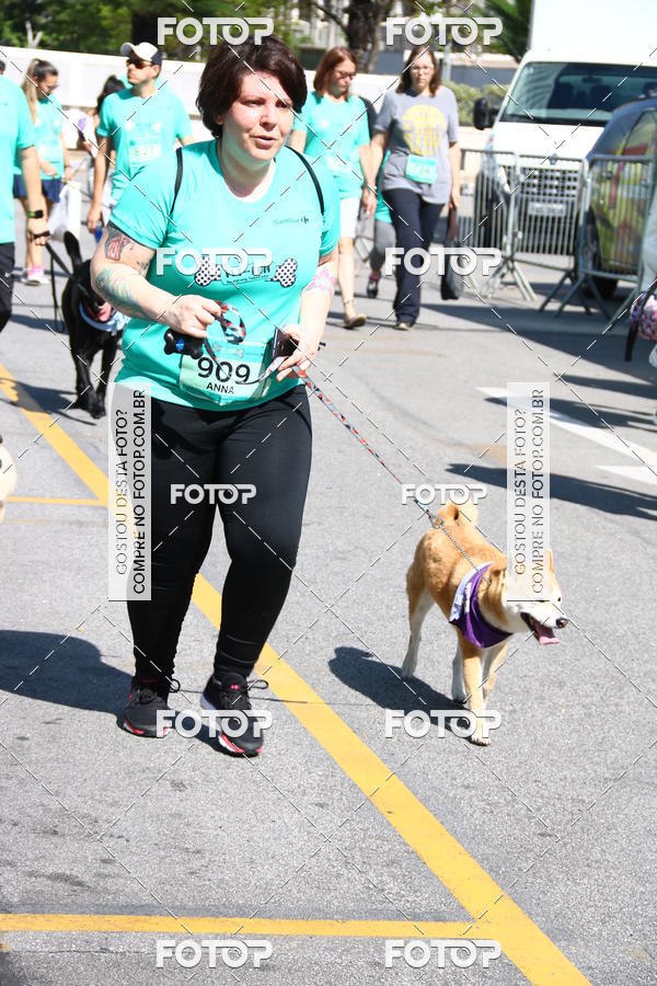 Buy your photos of the event2 Pet Run Shopping Eldorado  on Fotop
