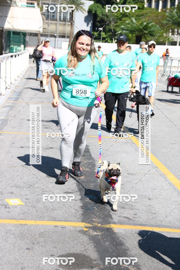 Buy your photos of the event2 Pet Run Shopping Eldorado  on Fotop