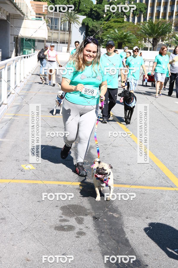 Buy your photos of the event2 Pet Run Shopping Eldorado  on Fotop