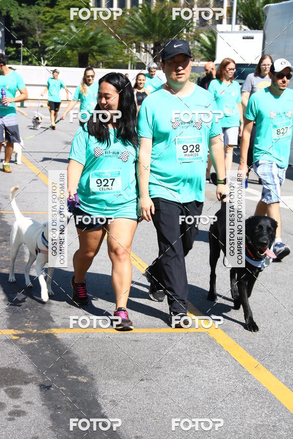 Buy your photos of the event2 Pet Run Shopping Eldorado  on Fotop