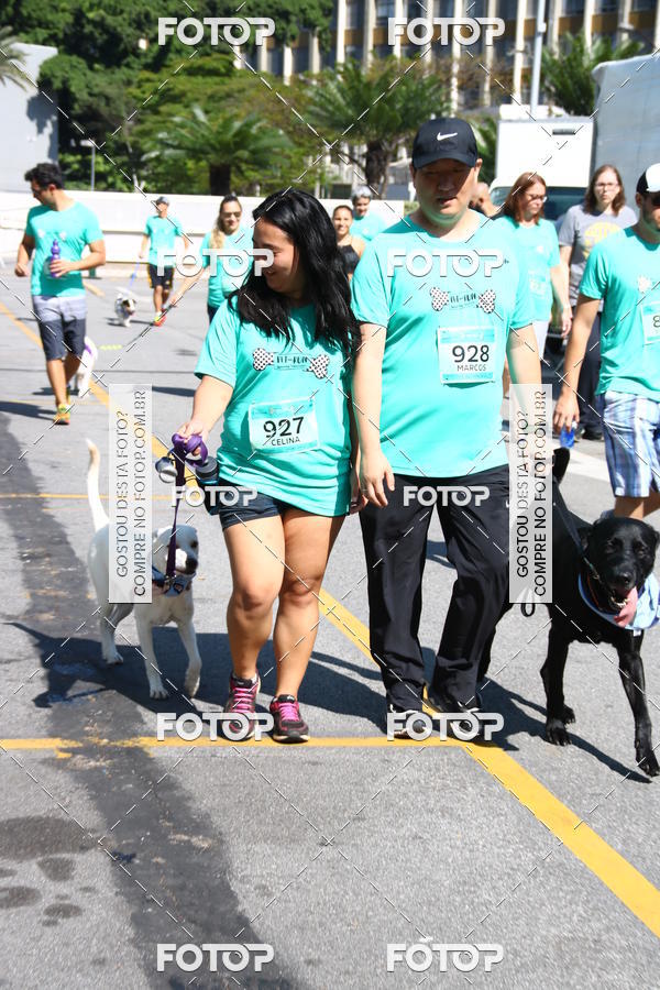 Buy your photos of the event2 Pet Run Shopping Eldorado  on Fotop