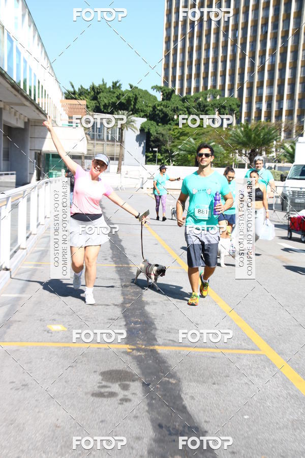 Buy your photos of the event2 Pet Run Shopping Eldorado  on Fotop