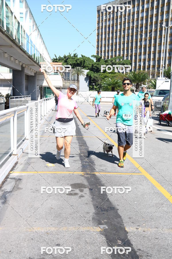 Buy your photos of the event2 Pet Run Shopping Eldorado  on Fotop