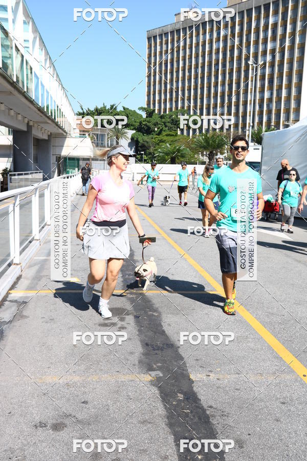 Buy your photos of the event2 Pet Run Shopping Eldorado  on Fotop