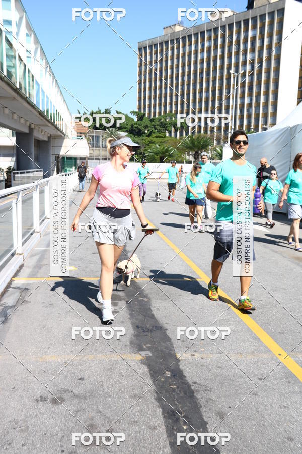 Buy your photos of the event2 Pet Run Shopping Eldorado  on Fotop