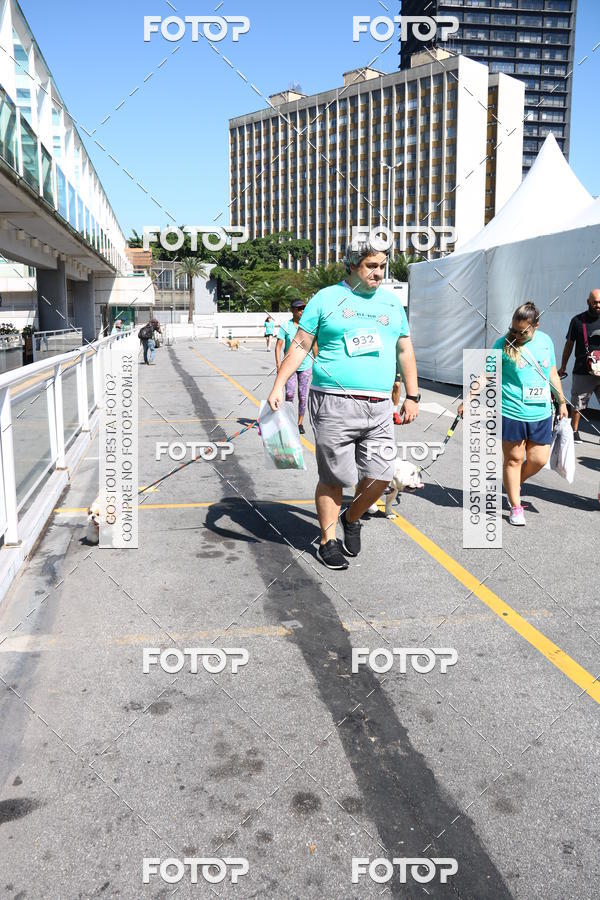 Buy your photos of the event2 Pet Run Shopping Eldorado  on Fotop