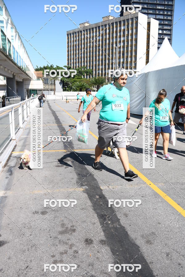 Buy your photos of the event2 Pet Run Shopping Eldorado  on Fotop