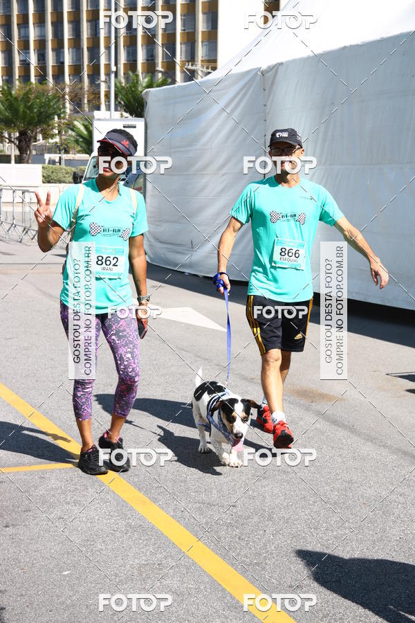 Buy your photos of the event2 Pet Run Shopping Eldorado  on Fotop