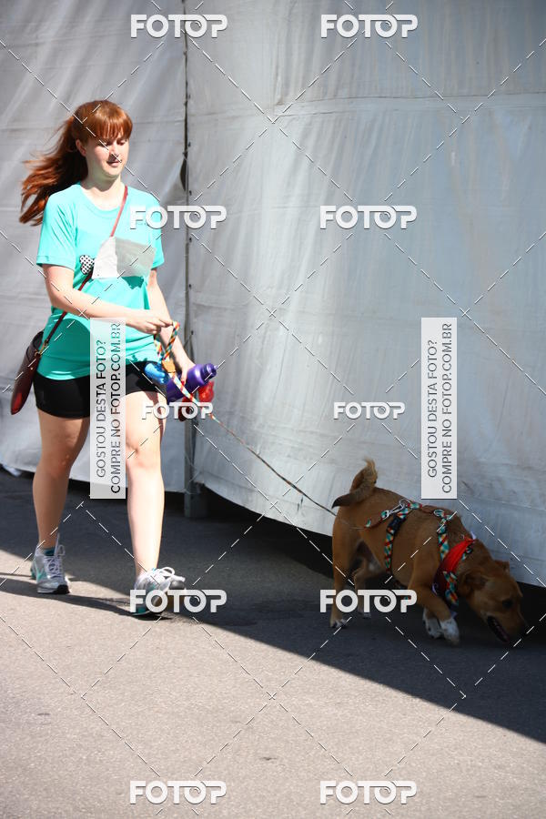 Buy your photos of the event2 Pet Run Shopping Eldorado  on Fotop