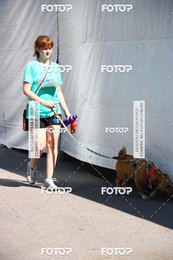 Buy your photos of the event2 Pet Run Shopping Eldorado  on Fotop