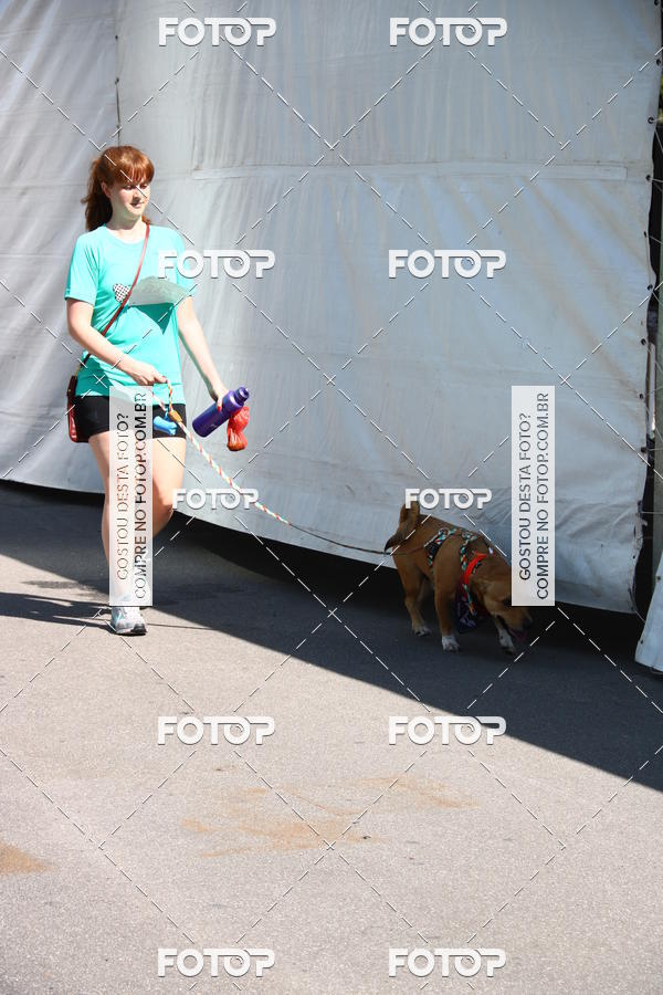 Buy your photos of the event2� Pet Run Shopping Eldorado  on Fotop